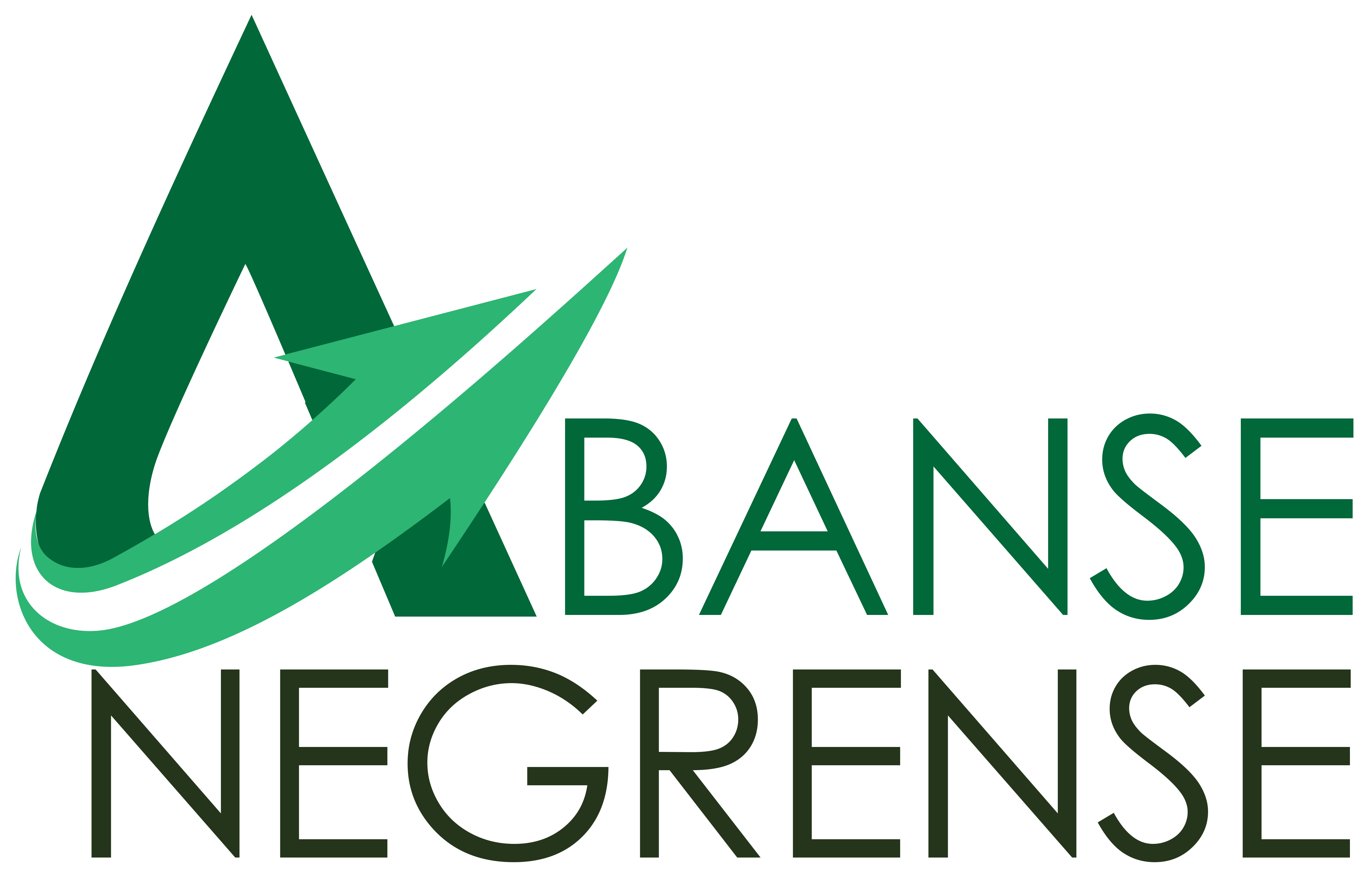 Banse Negrense